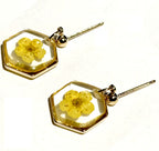 Boucles d’oreilles SPIREA – Fleur véritable en résine dorée Hexagone