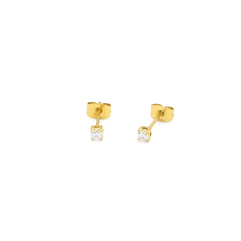 Puces d'oreilles Eclat