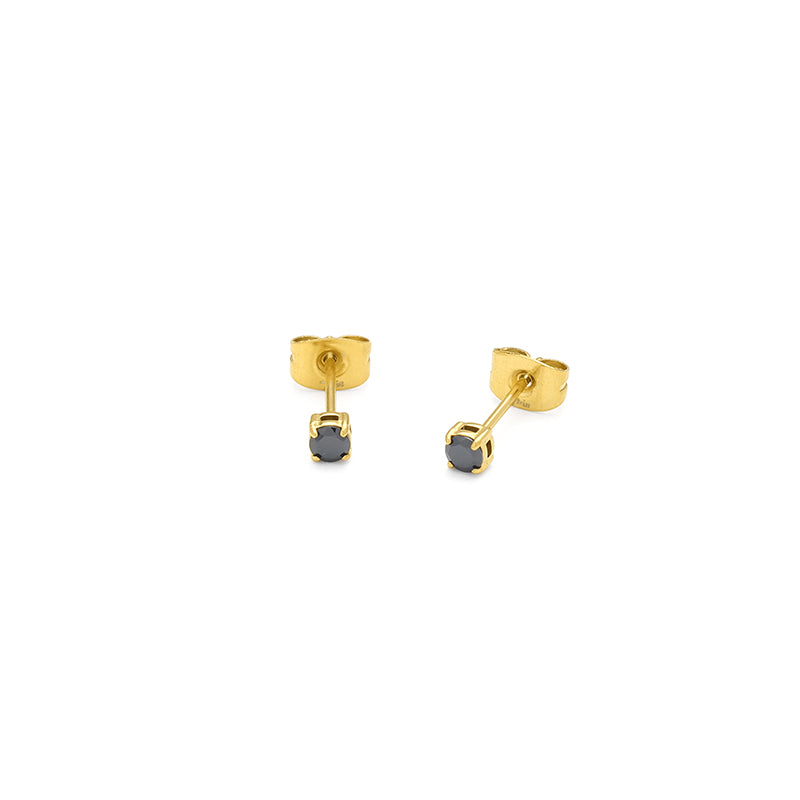 Puces d'oreilles Eclat — vue 6
