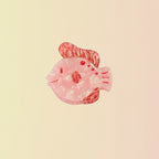 Pince à cheveux Poisson Clown