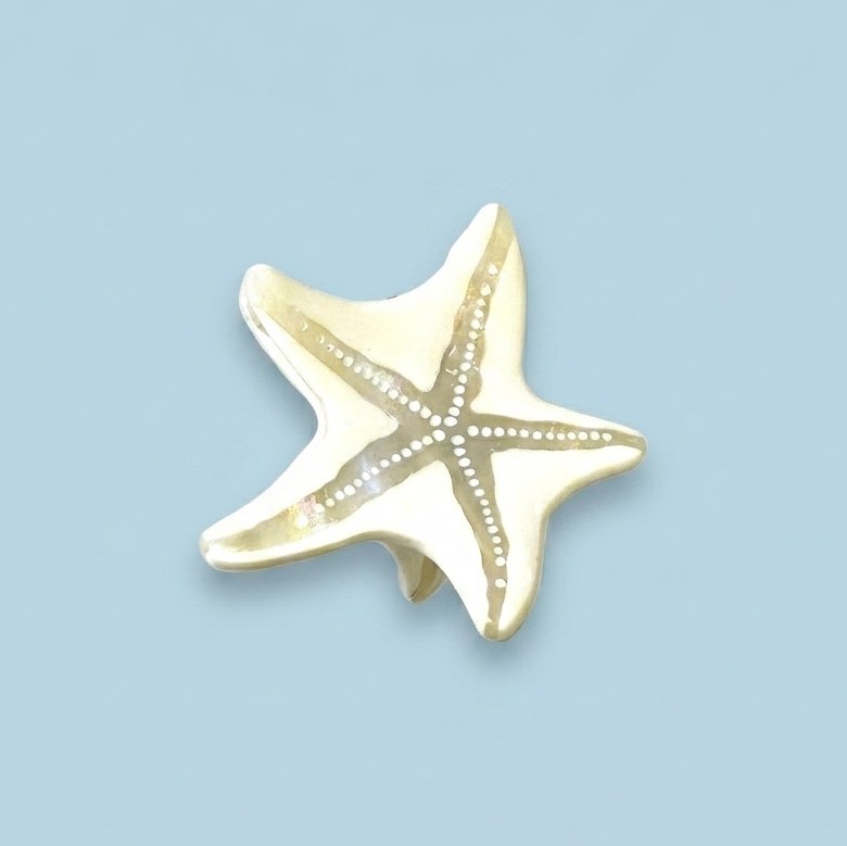 Pince Résine Mini Étoile de Mer