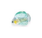 Pince à cheveux poisson tropical mini mini — vue 2