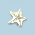 Pince Résine Mini Étoile de Mer