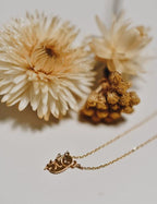 Collier Koala Australia